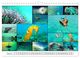 Thumbnail-10