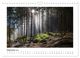 Thumbnail-11