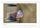 Thumbnail-12