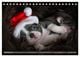 Thumbnail-4