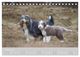 Thumbnail-13