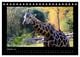 Thumbnail-12