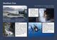 Thumbnail-11