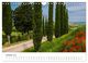 Thumbnail-12