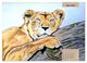 Thumbnail-8