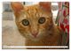Thumbnail-14