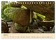 Thumbnail-9