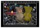 Thumbnail-4