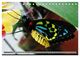 Thumbnail-11