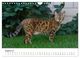 Thumbnail-13