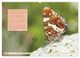 Thumbnail-10