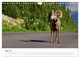 Thumbnail-10