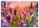 Thumbnail-12