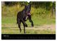 Thumbnail-8