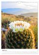 Thumbnail-11