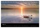 Thumbnail-10