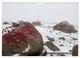 Thumbnail-14