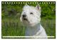 Thumbnail-11
