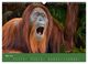 Thumbnail-10
