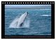 Thumbnail-14