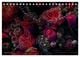Thumbnail-11