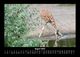 Thumbnail-12