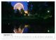 Thumbnail-13