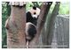 Thumbnail-9