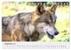 Thumbnail-14