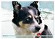 Thumbnail-12