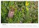 Thumbnail-11