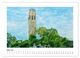 Thumbnail-8