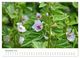 Thumbnail-13
