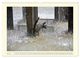 Thumbnail-12