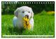 Thumbnail-12