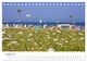 Thumbnail-13