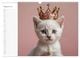 Thumbnail-13