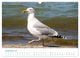 Thumbnail-14