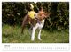 Thumbnail-9