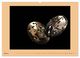 Thumbnail-9