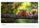 Thumbnail-8