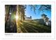 Thumbnail-14