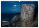 Thumbnail-14