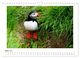 Thumbnail-8