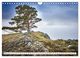 Thumbnail-11