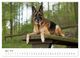 Thumbnail-9