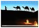 Thumbnail-10
