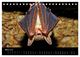 Thumbnail-8