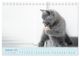 Thumbnail-11