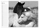 Thumbnail-10